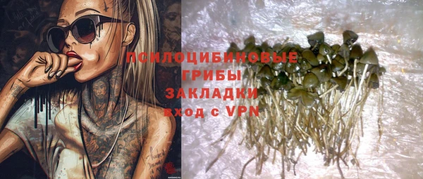 МДПВ Михайловск