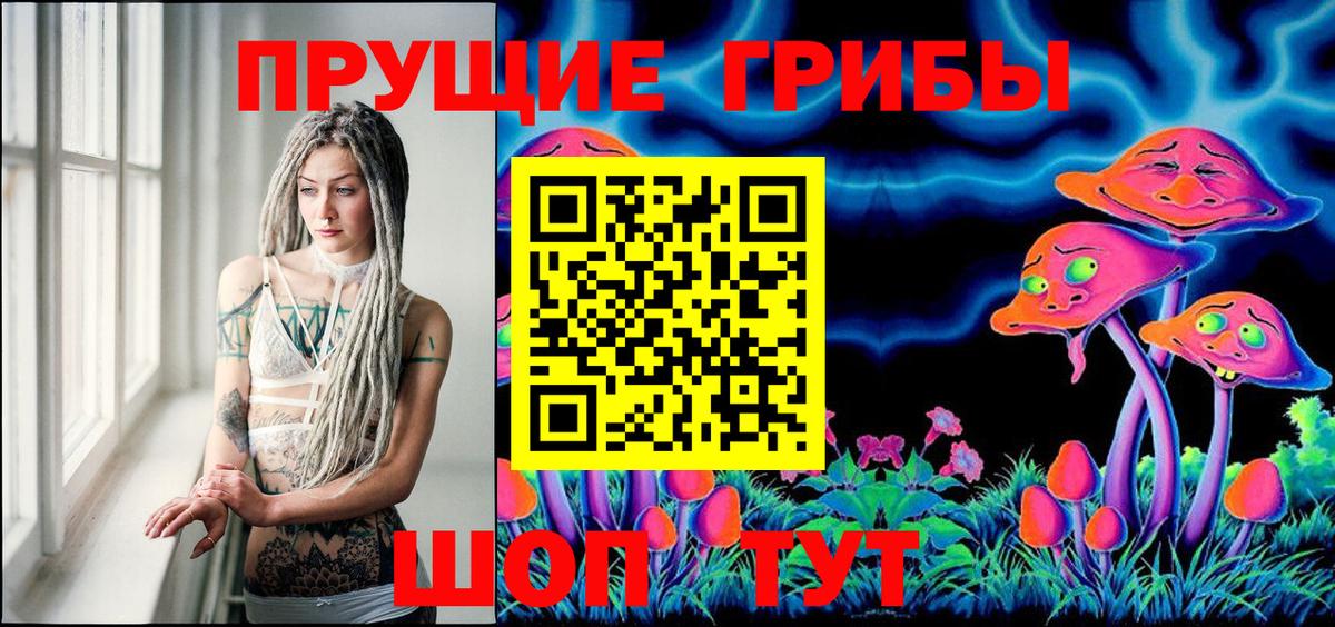 Канск  Псилоцибиновые грибы Cubensis  Вход с VPN 