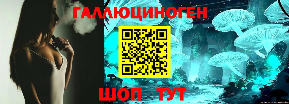 Псилоцибиновые грибы Cubensis Канск